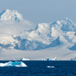 🦠 Antarctica’s New DNA Defense Against Invaders!