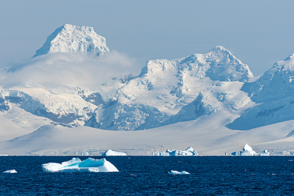 🦠 Antarctica’s New DNA Defense Against Invaders!