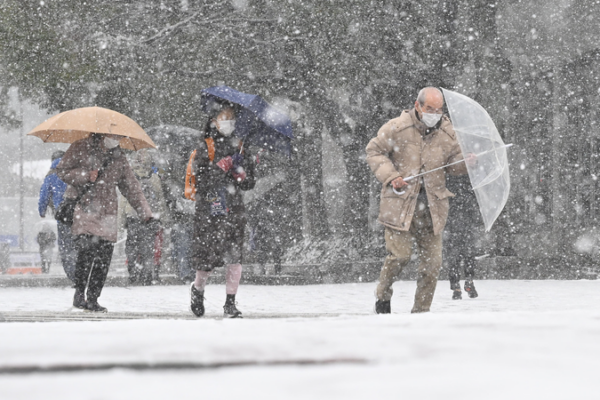Japan Snow Crisis: 46 Dead, Travel Chaos as Storms Hit 🚨❄️