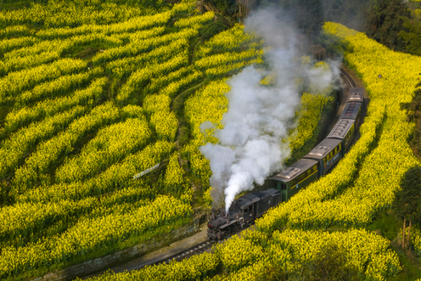 All Aboard! Jiayang Steam Train Rides Wave of Film Tourism 🚂🌸
