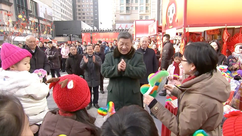 President Xi Extends Spring Festival Greetings in Beijing Visit 🌸👋 video poster