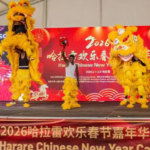 Galloping into Unity: How Spring Festival Bridges China & Africa in 2026 🐎🌍