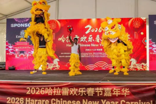 Galloping into Unity: How Spring Festival Bridges China & Africa in 2026 🐎🌍