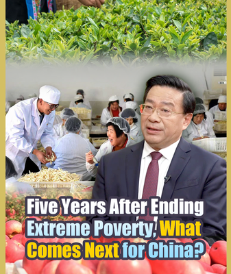 China's Next Chapter: From Poverty Eradication to Rural Revitalization 🌱 video poster