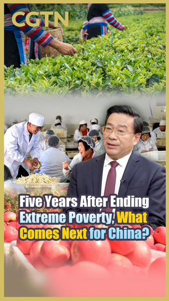 China's Next Chapter: From Poverty Eradication to Rural Revitalization 🌱 video poster