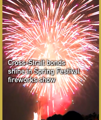 Cross-Strait Fireworks Light Up Lunar New Year Sky 🎆 video poster