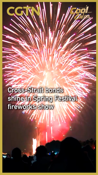 Cross-Strait Fireworks Light Up Lunar New Year Sky 🎆 video poster