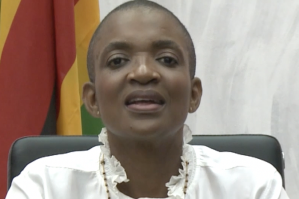 Zimbabwe Eyes Closer Cultural Ties with China to Boost Tourism 🌍✈️ video poster