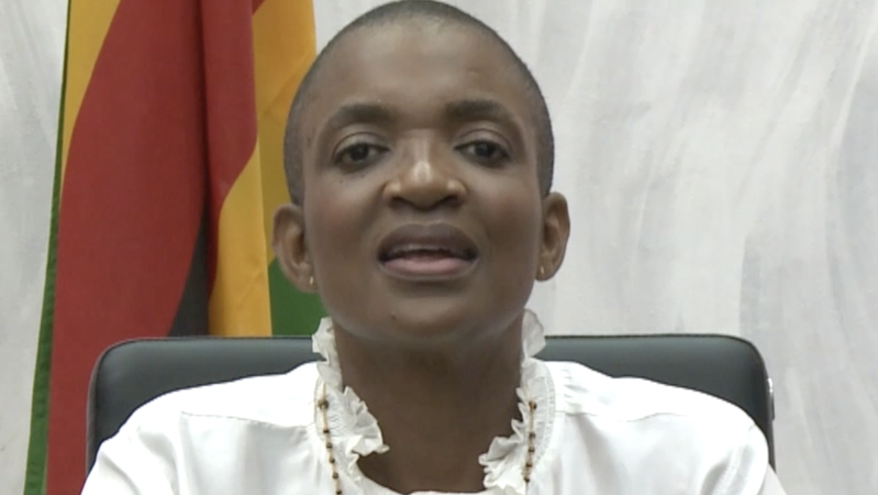 Zimbabwe Eyes Closer Cultural Ties with China to Boost Tourism 🌍✈️ video poster