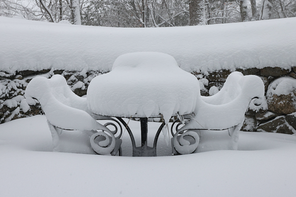 Historic Blizzard Shuts Down Northeast U.S. 🌨️🚧