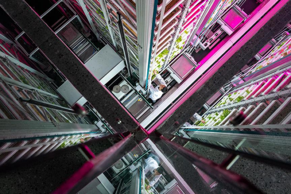 🌱🚀 Smart Tech Revolutionizes Farming: Meet the Jobs of Tomorrow