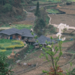 Miao Mountain Village: Where Culture Meets Nature 🌄