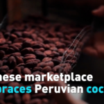 0SWX81LZRIDJ323IISR9 - 🌍NewspaperAmigo – Your Global News Buddy 🗞️ Peruvian Cocoa Craze Hits Chinese Markets 🍫 video poster