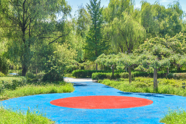 Xi Urges Nationwide Green Push 🌱: 'Ecology Needs Everyone's Effort'