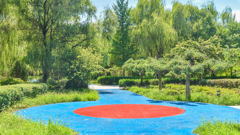 Xi Urges Nationwide Green Push 🌱: 'Ecology Needs Everyone's Effort'