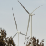 Ningxia’s Green Energy Boom: Wind & Solar Power Reshape the Desert 🌬️☀️ video poster