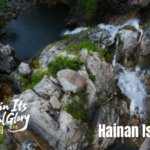 1UE4MRDPW6ZDOFBJR4BE - 🌍NewspaperAmigo – Your Global News Buddy 🗞️ Discover Hainan's Natural Wonders: Wuzhi Mountain & Cloud Forests 🌿🏞️ video poster