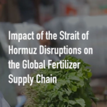 22GUUY24M33ZZJ2XO4R2 - 🌍NewspaperAmigo – Your Global News Buddy 🗞️ Middle East Tensions Threaten Sudan's Food Security 🌍🍲 video poster