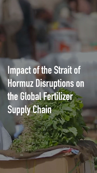 Middle East Tensions Threaten Sudan's Food Security 🌍🍲 video poster