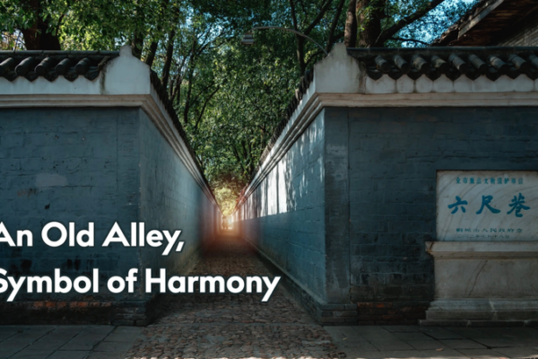 Xi's 2024 Alley Visit Inspires Harmony Values 🌏✨ video poster