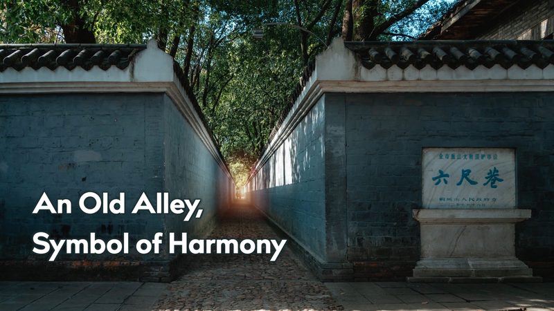 Xi's 2024 Alley Visit Inspires Harmony Values 🌏✨ video poster