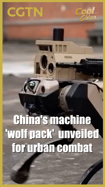 2BMKSSJOAZR45GPF5TW0 - 🌍NewspaperAmigo – Your Global News Buddy 🗞️ China Deploys AI 'Wolf Pack' Robots for Urban Warfare 🐺🤖 video poster