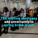 Spring Break Travel Chaos: TSA Shortages Hit Major Airports 🛄✈️ video poster