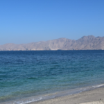 Strait of Hormuz Attack Kills 6 Seafarers Amid Rising Tensions 🌊⚓