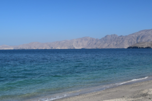 Strait of Hormuz Attack Kills 6 Seafarers Amid Rising Tensions 🌊⚓