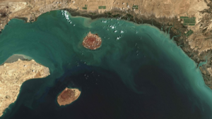 Trump Issues 48-Hour Ultimatum to Iran Over Strait of Hormuz 🌍⚡