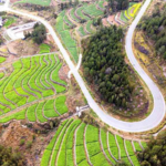 China’s Poverty Eradication Wins Global Praise 🌍✨