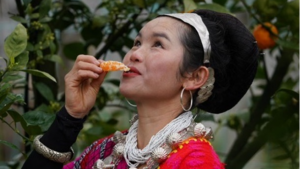 From Mountain Villages to Modern Life: The Deng People’s Transformation 🌱🏡