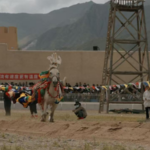 Tibetan New Year Horse Racing Revives Ancient Equestrian Spirit 🐎✨