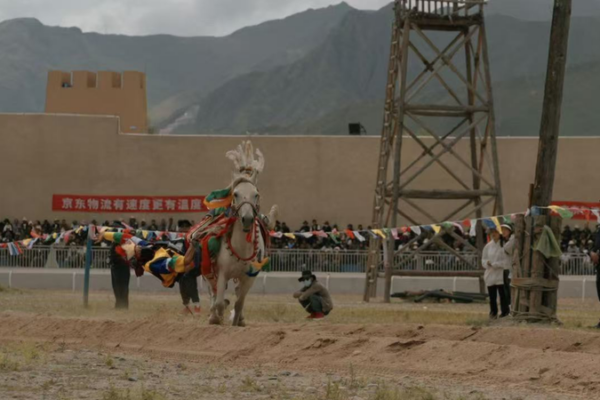 Tibetan New Year Horse Racing Revives Ancient Equestrian Spirit 🐎✨