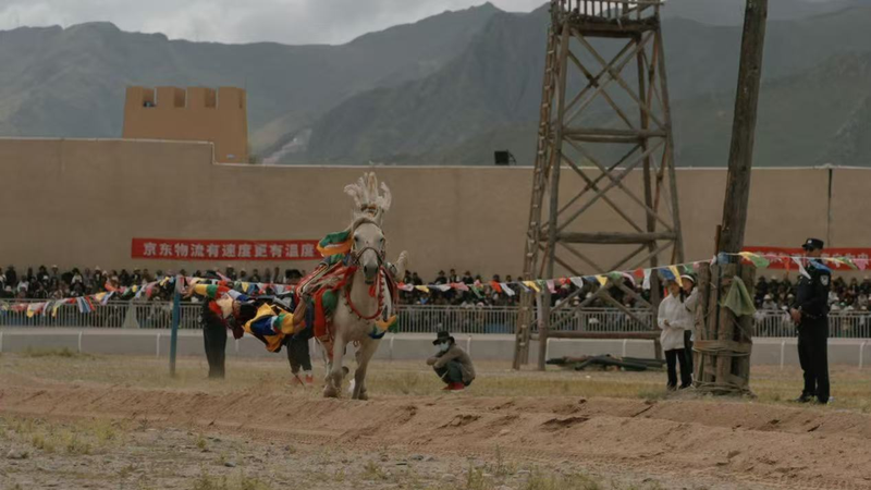 Tibetan New Year Horse Racing Revives Ancient Equestrian Spirit 🐎✨