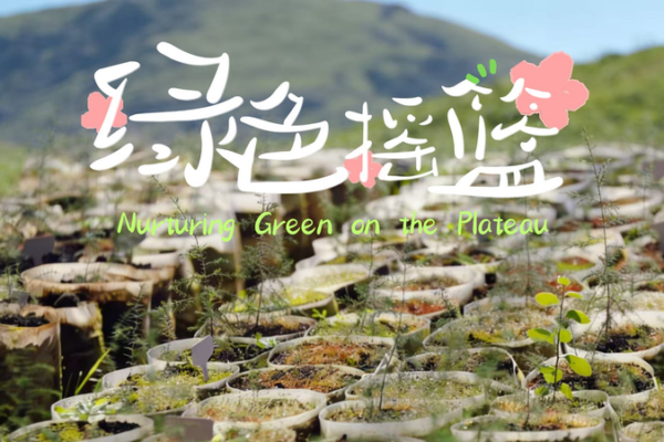 Lhasa's Green Revolution: How a 5-Year Afforestation Project Transformed the Plateau 🌱🏔️ video poster