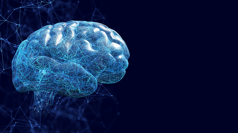 China's AI Breakthrough: Neural Network Mimics Human Learning 🌐🧠