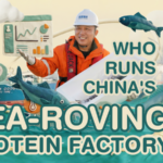 🌊🐟 China’s Suhai-1: The Floating Fish Farm Revolutionizing Seafood in 2026! video poster