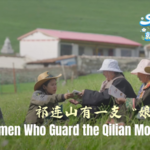 Women Rangers Protect Qilian Mountains 🌿👩🚒 video poster