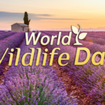 🌿 World Wildlife Day 2026 Spotlights Medicinal Plants & Global Heritage
