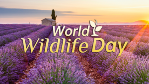 🌿 World Wildlife Day 2026 Spotlights Medicinal Plants & Global Heritage
