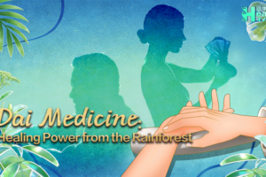 🌿 Dai Medicine: Ancient Rainforest Wisdom Meets Modern Healing 💫 video poster