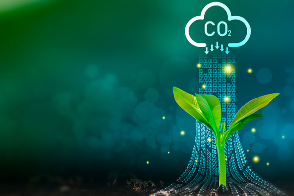 China’s 2030 Carbon Sprint: Green Fuels & Renewables Lead the Charge 🌱⚡