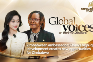 China's Development Sparks New Opportunities for Zimbabwe 🌱🤝 video poster