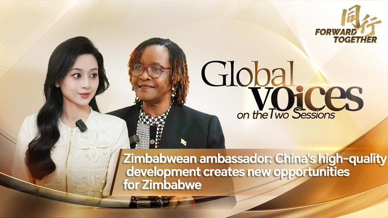 China's Development Sparks New Opportunities for Zimbabwe 🌱🤝 video poster