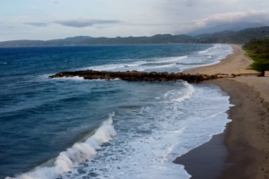 Global Oceans Get a Boost as High Seas Treaty Enters Critical Phase 🌊✍️ video poster