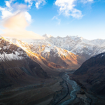 From Desert Sands to Prosperity: Xinjiang's Camel Milk Boom 🐪✨