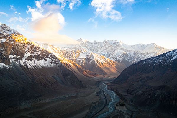 From Desert Sands to Prosperity: Xinjiang's Camel Milk Boom 🐪✨