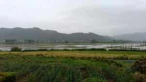 China’s New Eco Laws: Balancing Nature & People 🌱👥