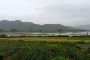 China’s New Eco Laws: Balancing Nature & People 🌱👥